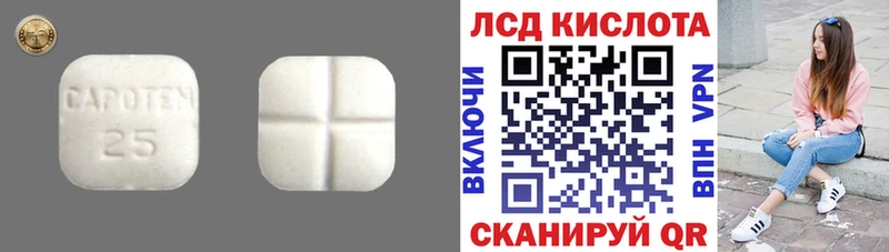 где найти наркотики  KRAKEN ONION  ЛСД экстази кислота  Весьегонск 